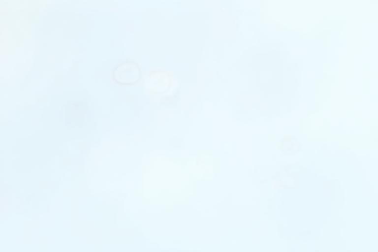 Representación de un documento digital actualizándose, con un cursor de ratón sobre un archivo y flechas indicando progreso.